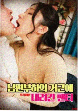 情书
